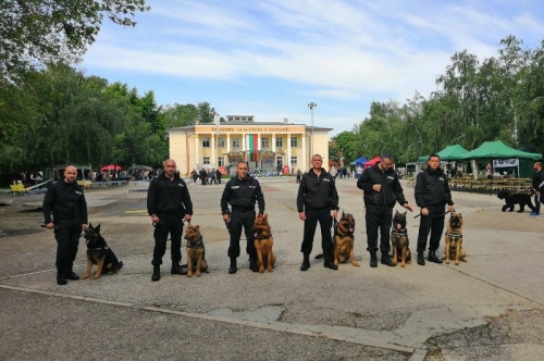 Киноложка изложба THE DOG SHOW – Първомай 2019